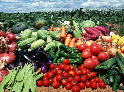 農(nóng)副產(chǎn)品價格低廉卻無人收購的原因探析