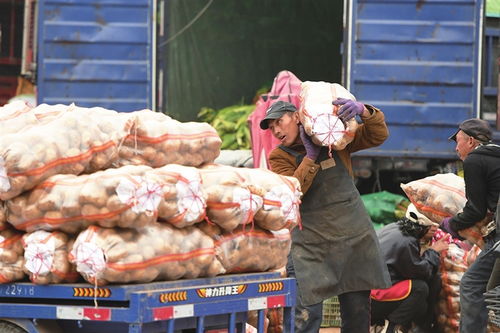 寒潮將至，備貨先行——太原河西市場全力保障市民“菜籃子”供應(yīng)